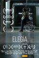 Elegy picture
