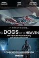 All Dogs Go to Heaven picture