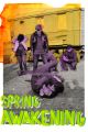SPRING AWAKENING picture