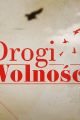 Drogi wolnosci picture