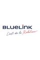 BlueLink : une solution pour chacun de vos enjeux picture