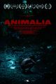 Animalia picture