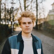 Bild Lion Leuker