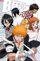 Bleach picture