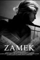 Zamek picture