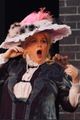 My fair Lady picture