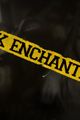 Black Enchantment picture