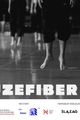 Rajzefiber picture