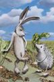 Hase und Igel picture
