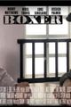 Boxer picture