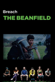 The Beanfield picture