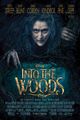 Into the Woods picture
