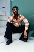 Image Vandross Alage