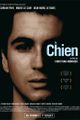 Le chien picture