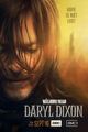The Walking Dead Daryl Dixon picture