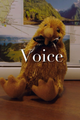 Voice picture