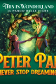 Peter Pan - Il sogno di Wendy picture