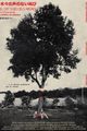 EL CRIT SORD DELS ARBRES picture