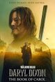 THE WALKING DEAD DARYL DIXON picture