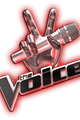 The Voice of Germany picture
