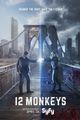 12 Monkeys picture