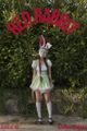 Red Rabbit picture