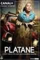 Platane picture