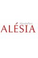 Réalité Augmentée - Alésia MuseoParc picture
