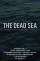 The Dead Sea picture