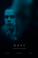 Nest picture