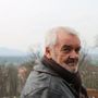 Bild Bogdan Koca