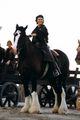 Piraten vor Britannien picture