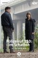 POLIZEIRUF 110, SCHWERIN - IM SCHATTEN picture