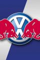 VW / Red Bull Rally Team Mexico - Volkswagen - picture