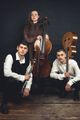 Gitarrist im WAVE TRIO picture