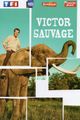 Victor Sauvage picture