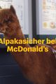 McDonalds - Alpaka, aber Sicher! picture