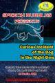 The Curious Incident in the Dog in the Nightime picture