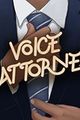 Voice Attorney picture