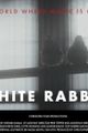 White Rabbits picture