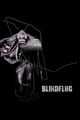 Blindflug Radio Edit picture