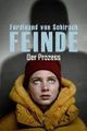 Ferdinand von Schirach: Feinde - Der Prozess picture