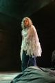 A Midsummer Nights Dream picture