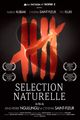 SELECTION NATURELLE picture