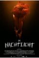 Im Nachtlicht picture