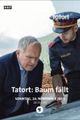 Tatort - Baum fällt picture