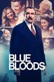 Blue Bloods (saison 13) picture