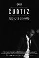 Curtiz picture