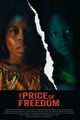 The Price of Freedom picture