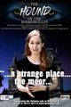 The Hound of the Baskervilles picture